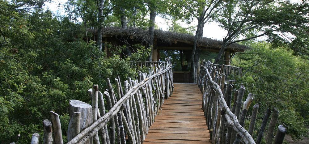 Tree Lodge Nidos De Pucón Exterior foto