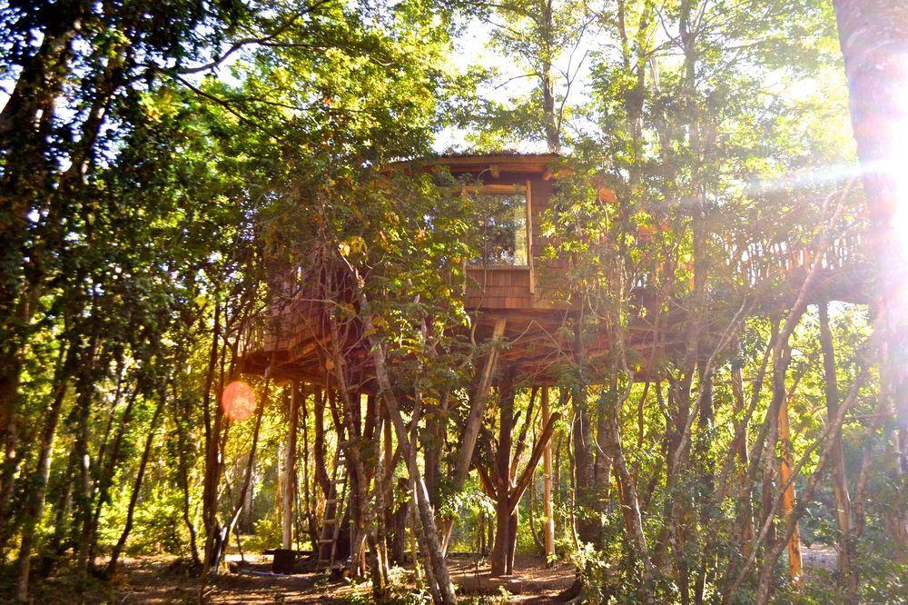 Tree Lodge Nidos De Pucón Exterior foto