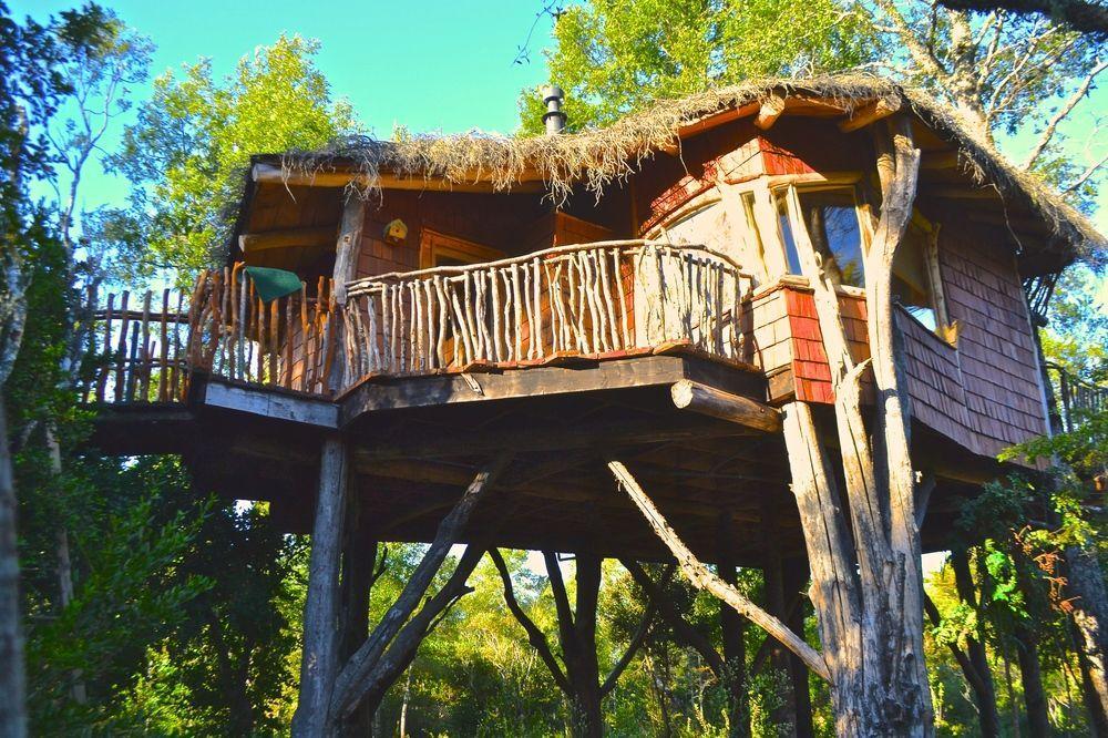Tree Lodge Nidos De Pucón Exterior foto
