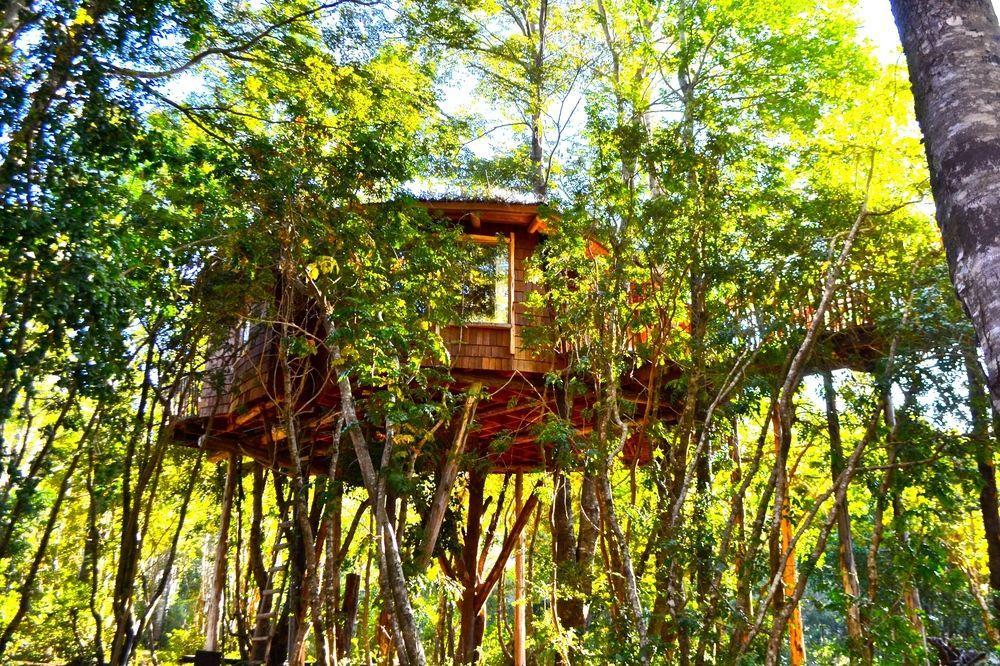 Tree Lodge Nidos De Pucón Exterior foto