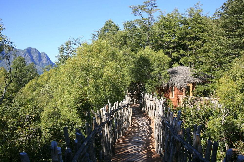 Tree Lodge Nidos De Pucón Exterior foto