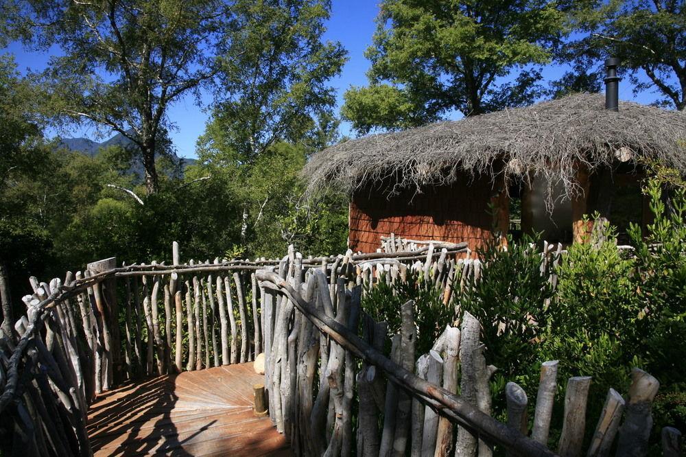 Tree Lodge Nidos De Pucón Exterior foto