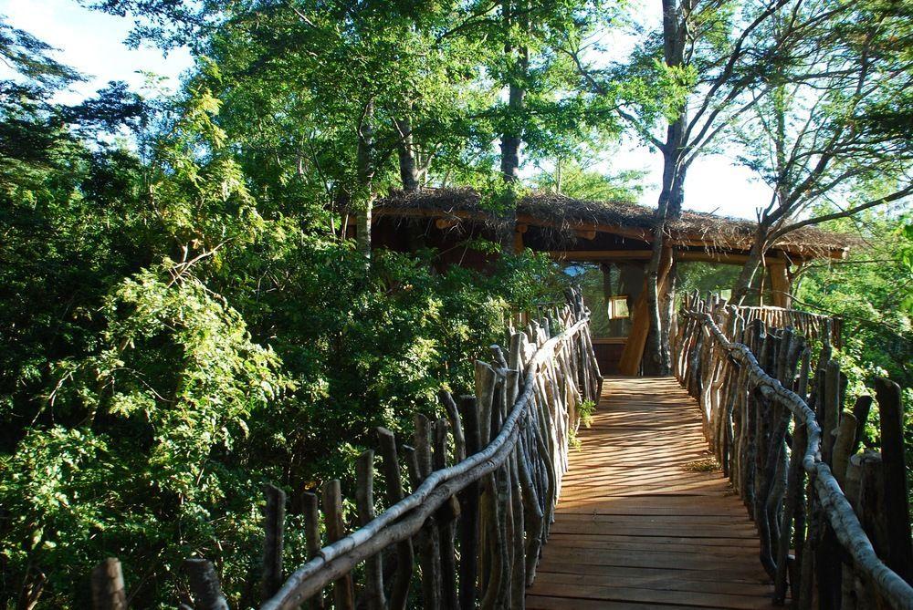 Tree Lodge Nidos De Pucón Exterior foto