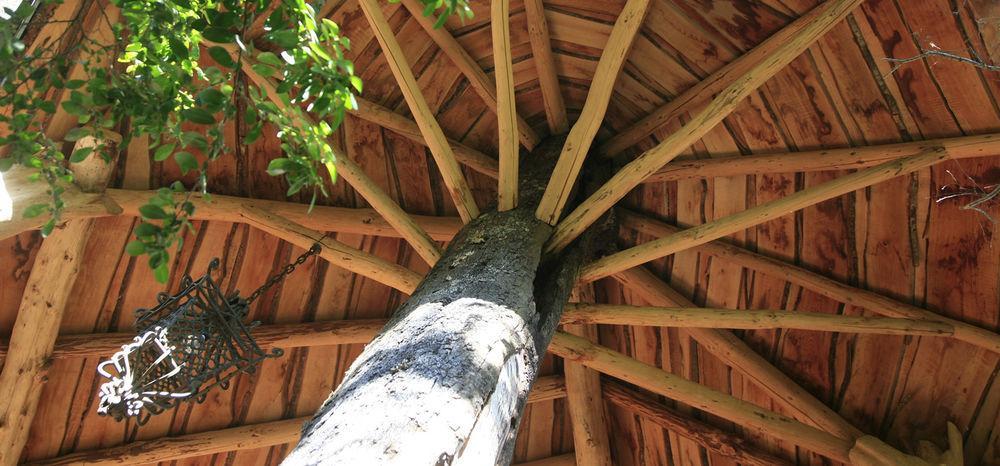 Tree Lodge Nidos De Pucón Exterior foto